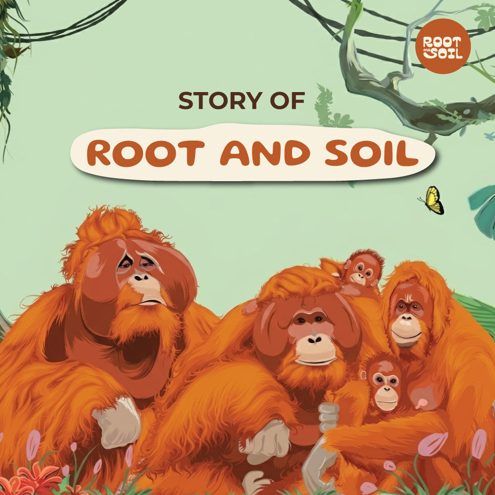 The Story of Root and Soil