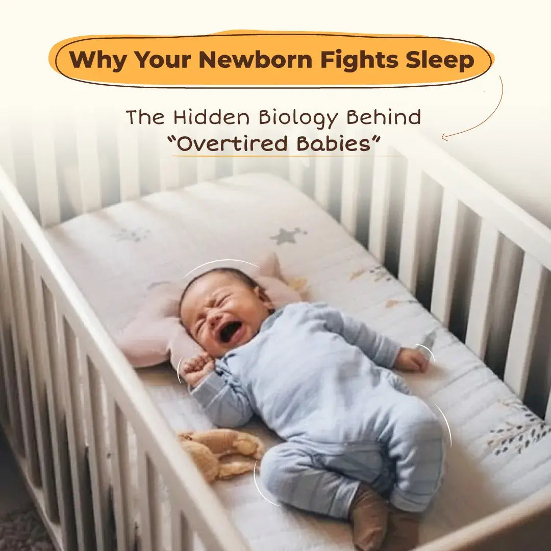 Why Your Newborn Fights Sleep: The Hidden Biology Behind “Overtired Babies”